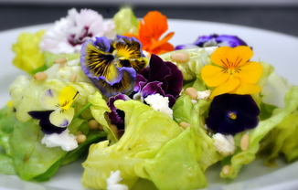 Spring Bouquet Salad with Basil-Chive Vinaigrette, Chèvre, and Pine Nuts