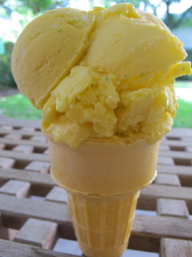 MANGO FREEZE