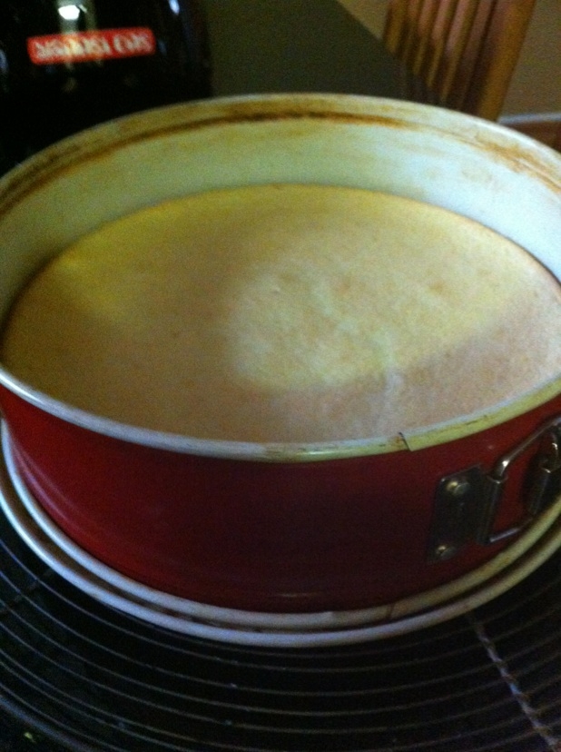 Mango Mousse Cake Delight