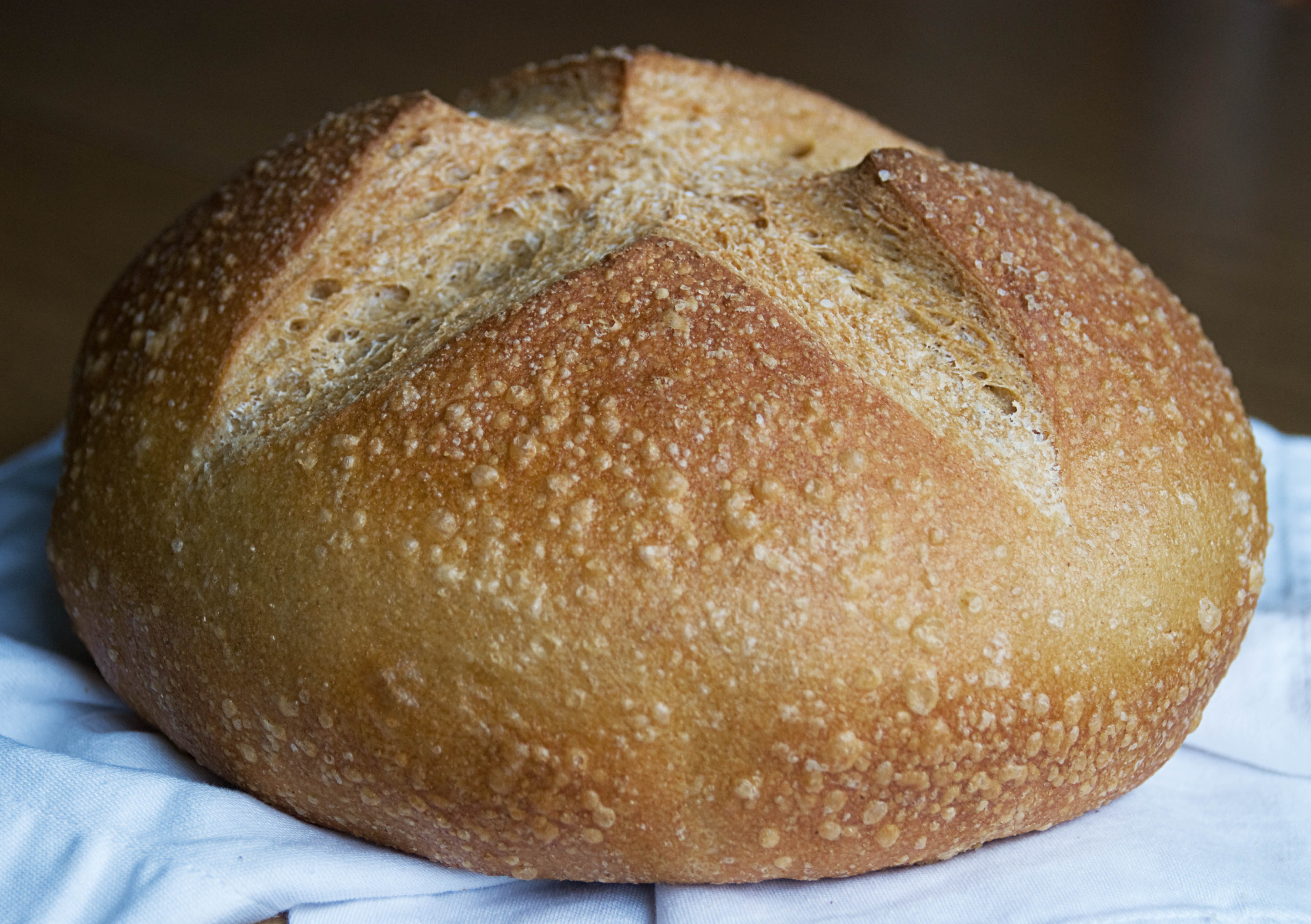 Whole Wheat Cast Iron Bread