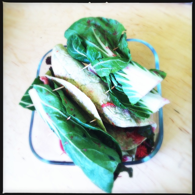 Raw Chard, Radish, Cashew and Lemon Ginger Wraps