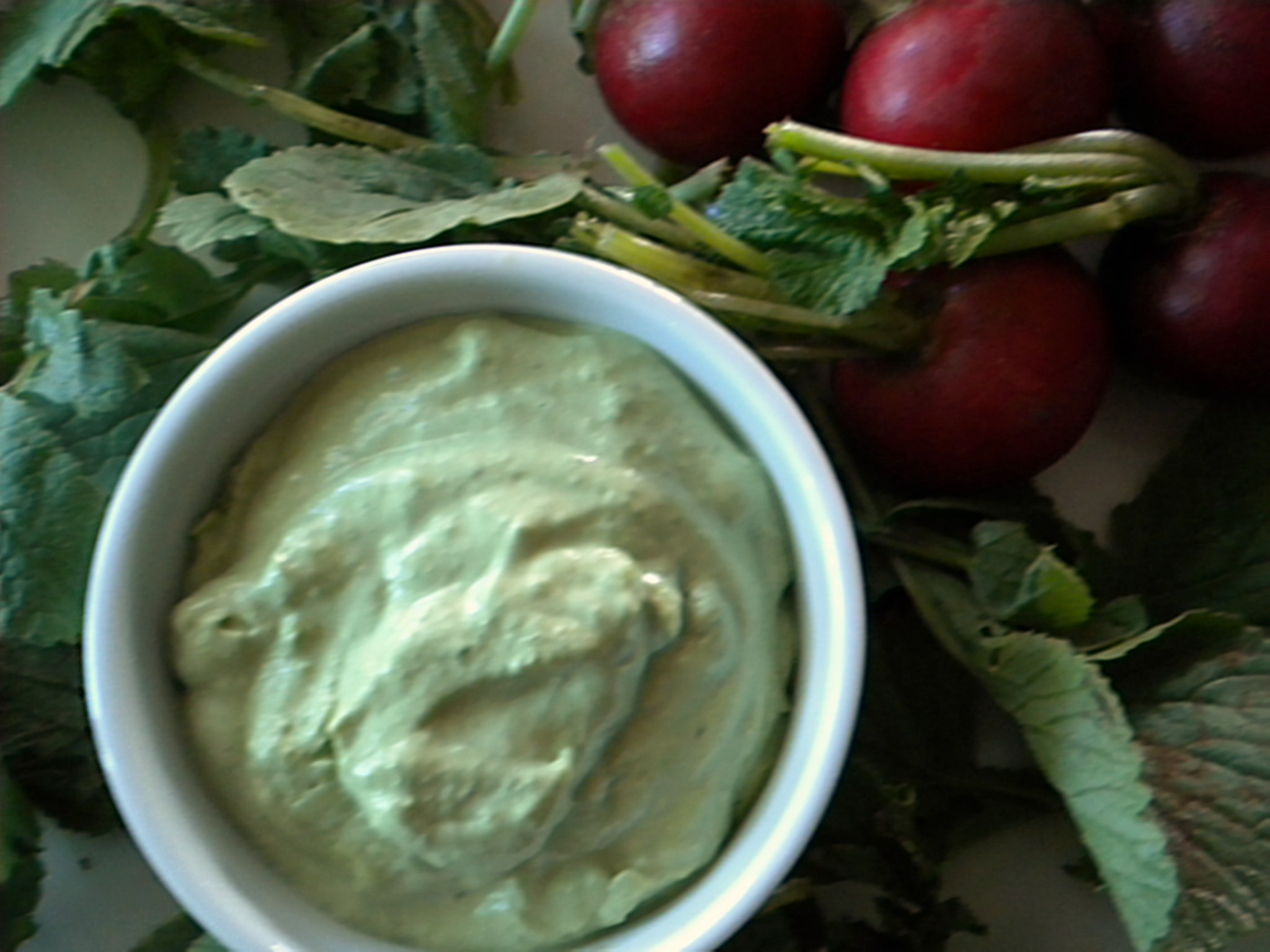 Radish Top Aioli