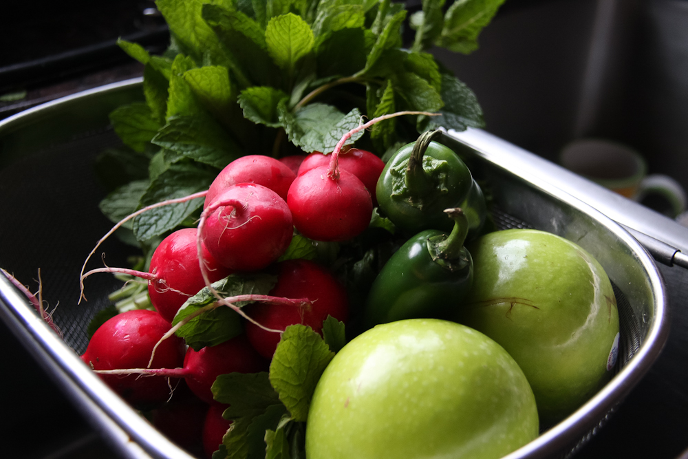 Radish Mint Relish Delish