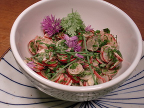 Spring Radish Salad with Chervil and Pepitas