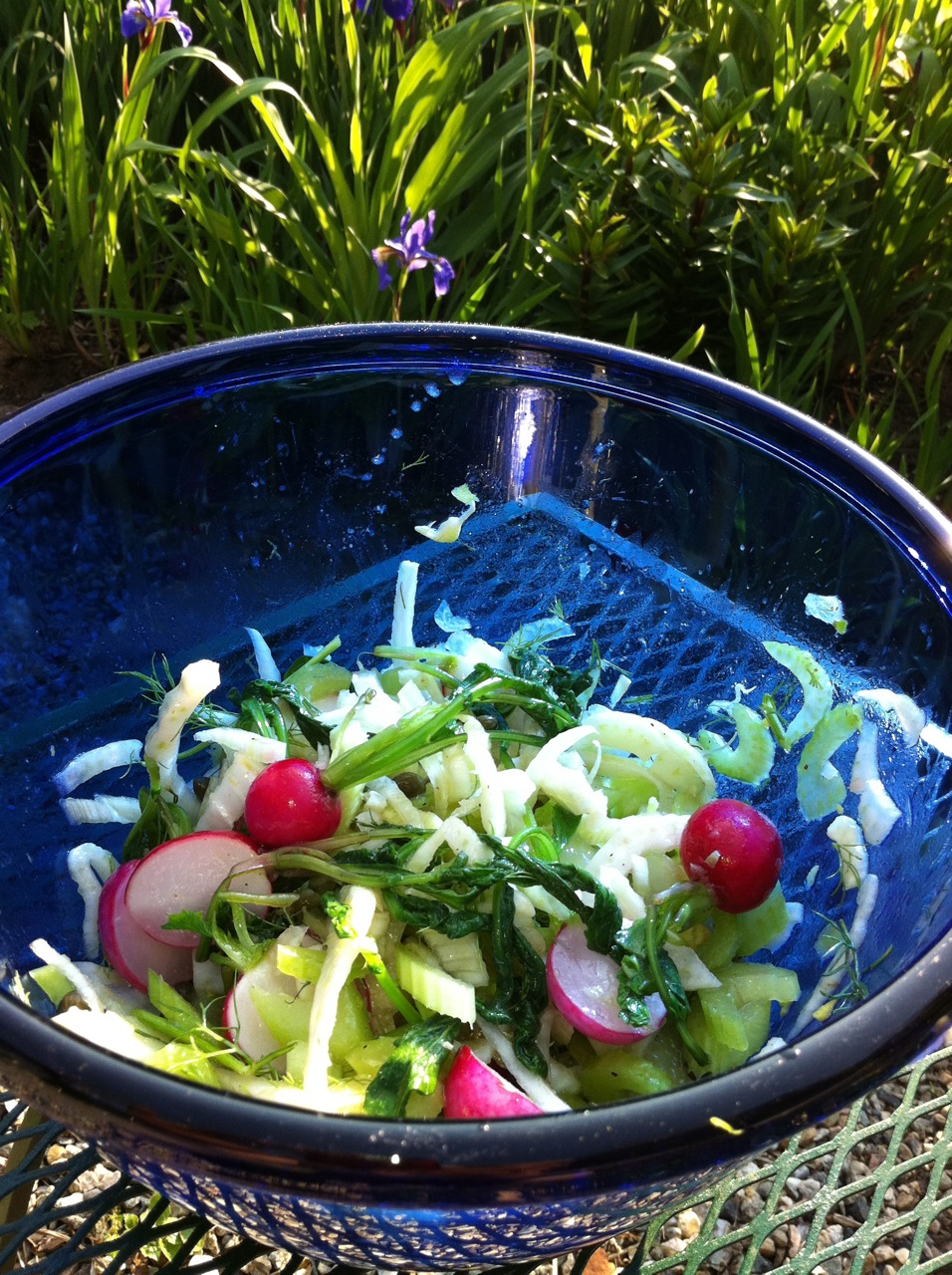 Fennel, Celery, and Wilted Radish Salad with Capers in a Citrus Vinaigrette