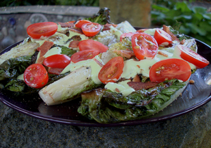 Grilled-romaine