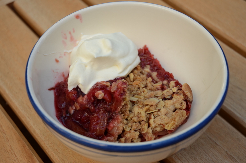 Rhubarb Cherry Hibiscus Crumble