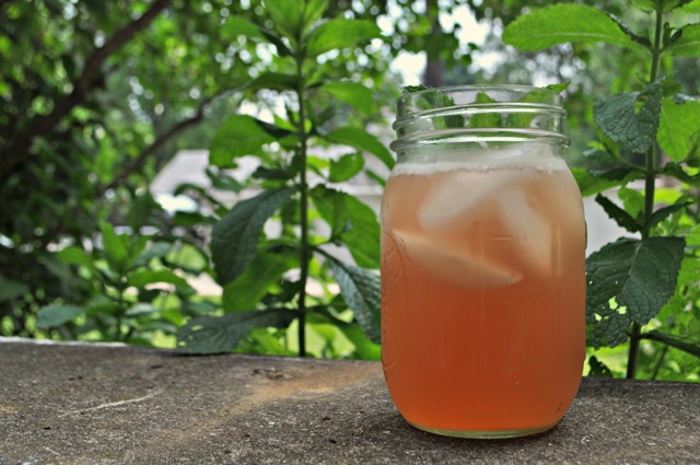 Rhubarb Iced Tea