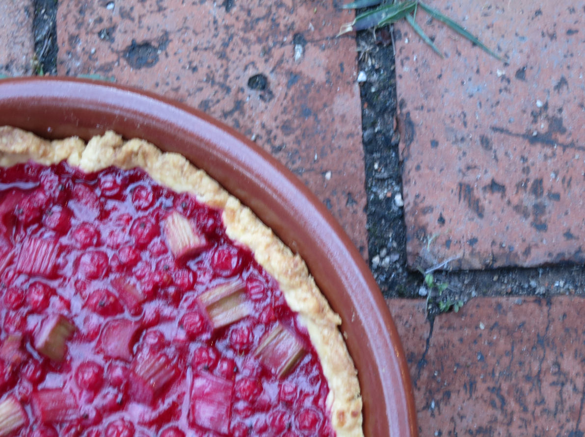 Ruby Red Currant and Rhubarb Tart
