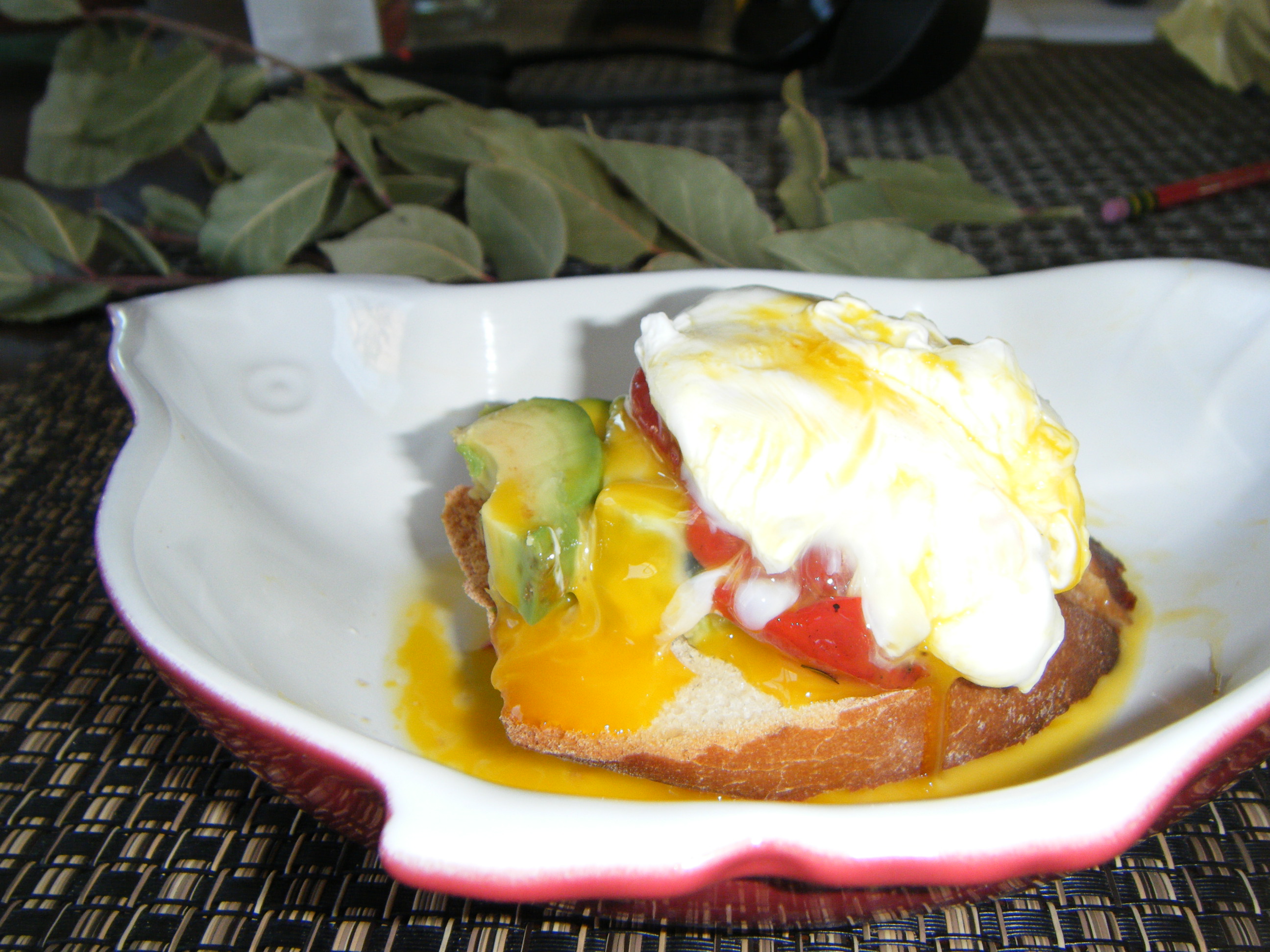 Pintxo Avocado (dedicated to Chef Amber)