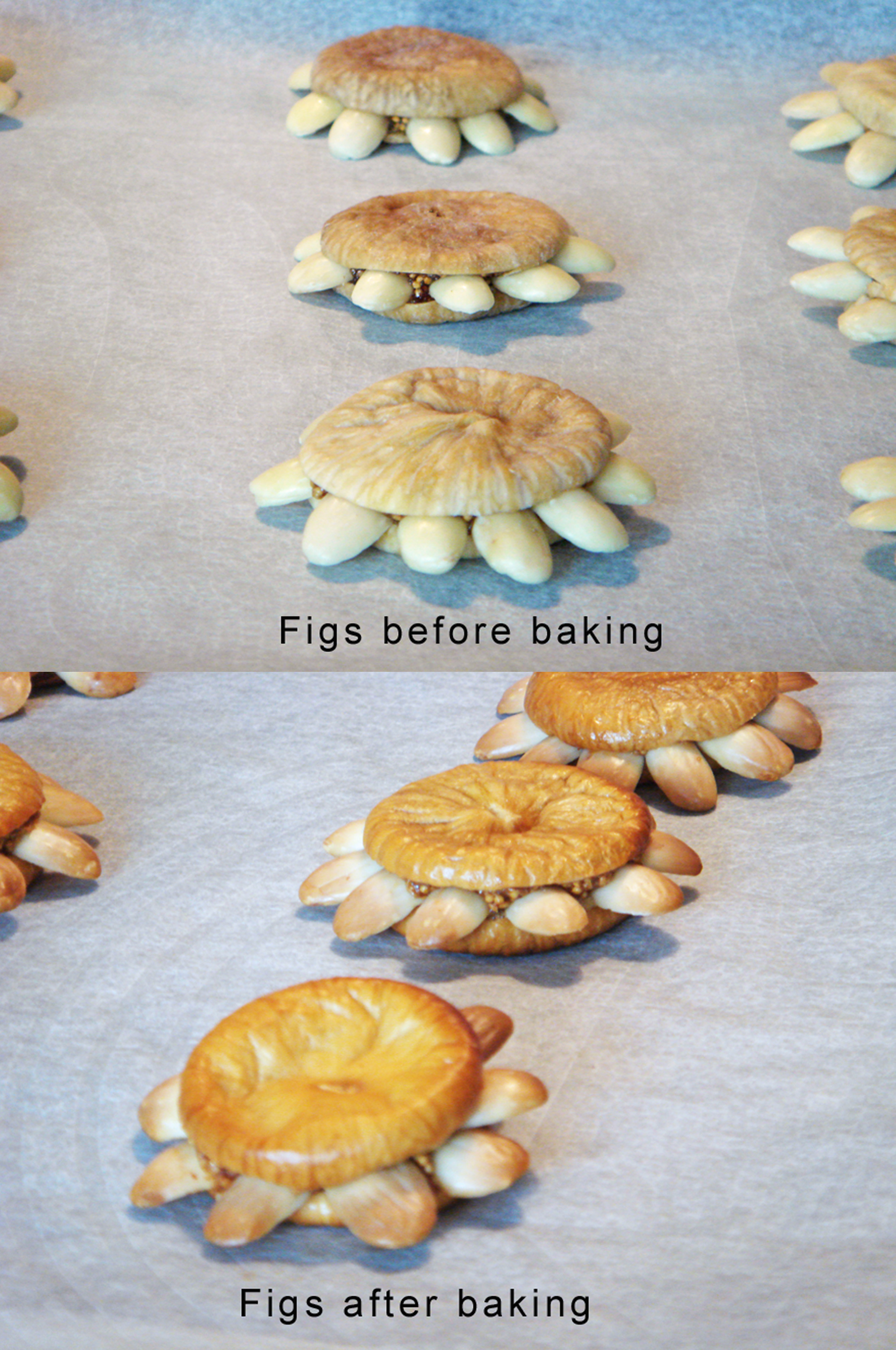 Almond and Fig Daisies