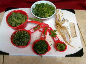 Garden Fresh Savory Herb Pea Soup