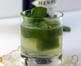 Cucmber Mint Gin and Tonic