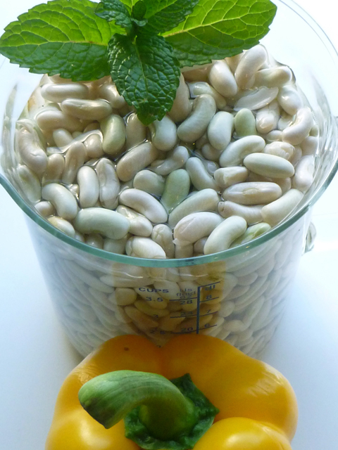 Minty Green Flageolet Beans