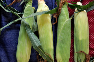Effortless Roasted Corn