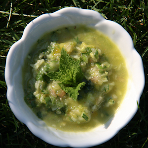 Green Gazpacho with Mint and Cilantro