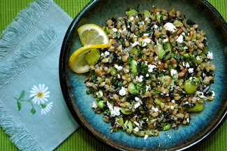 Wheatberry & Wild Rice Salad with Favas & Fried Seeds