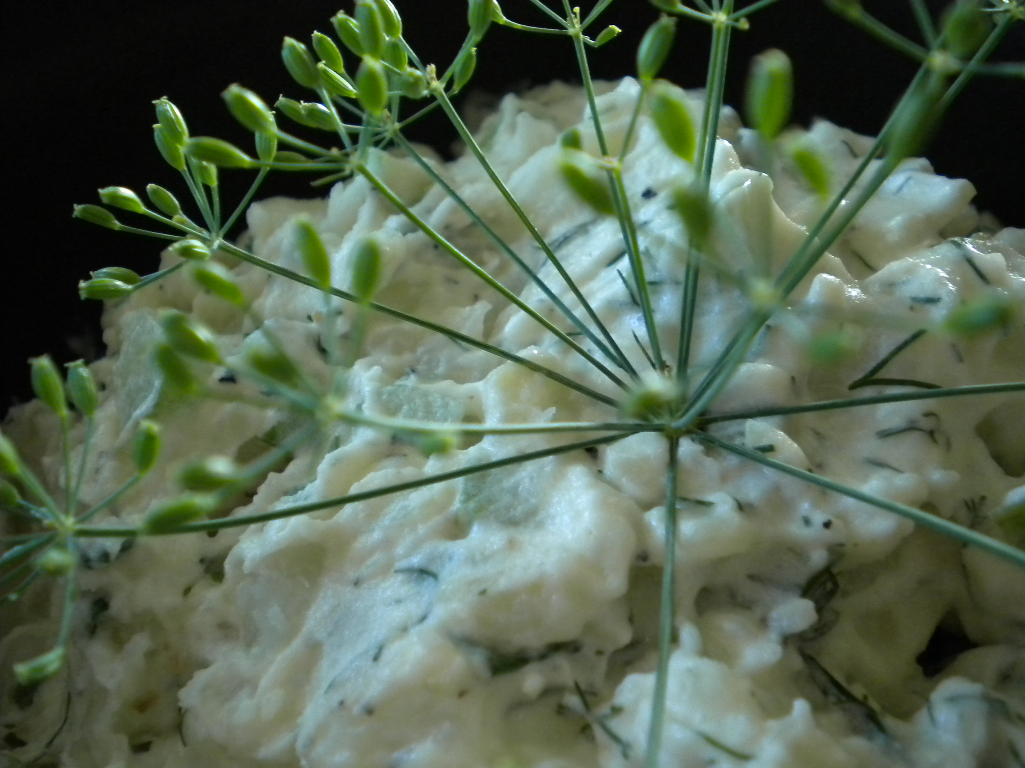 Dill and Fennel Frond Potato Salad Recipe on Food52