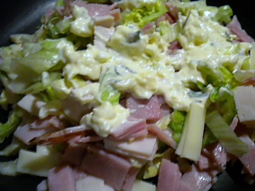 Dscn8486