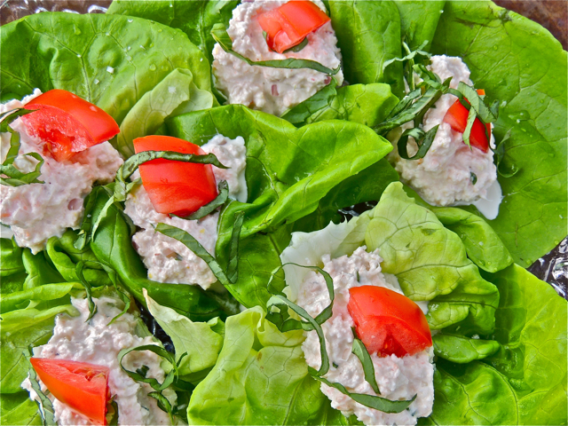 Hand-Held Shrimp Salads