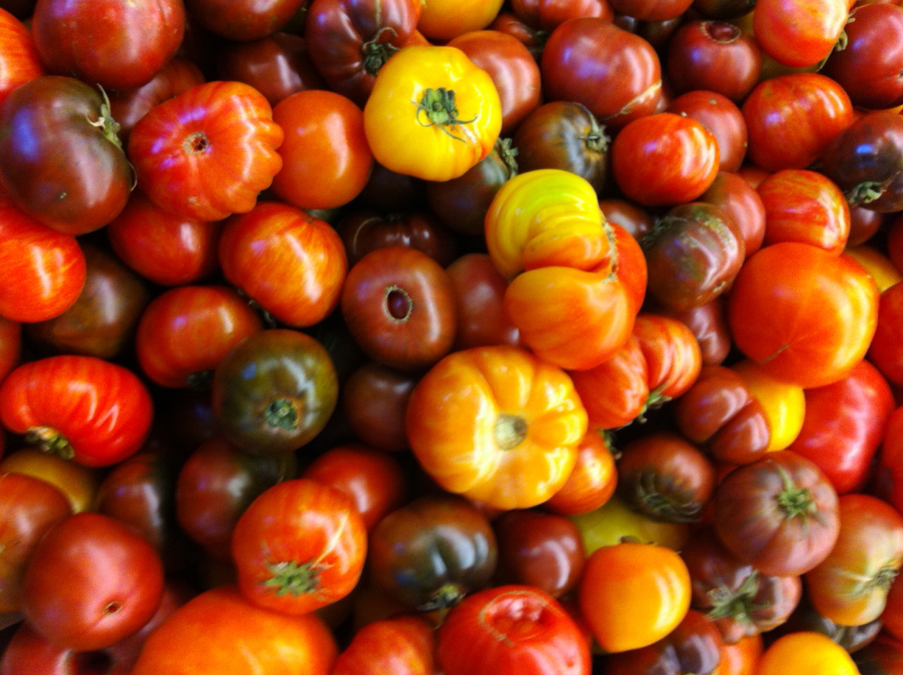 tomates farcies:  vegetarian & beef stuffed tomatoes, bonus QUINOA salad