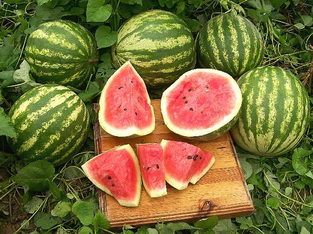 Watermelon "Caprese"