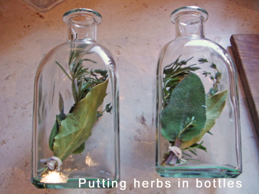 Tuscan Infused Olive Oil