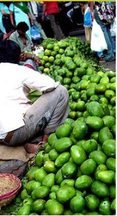 Quick Mango Pickle