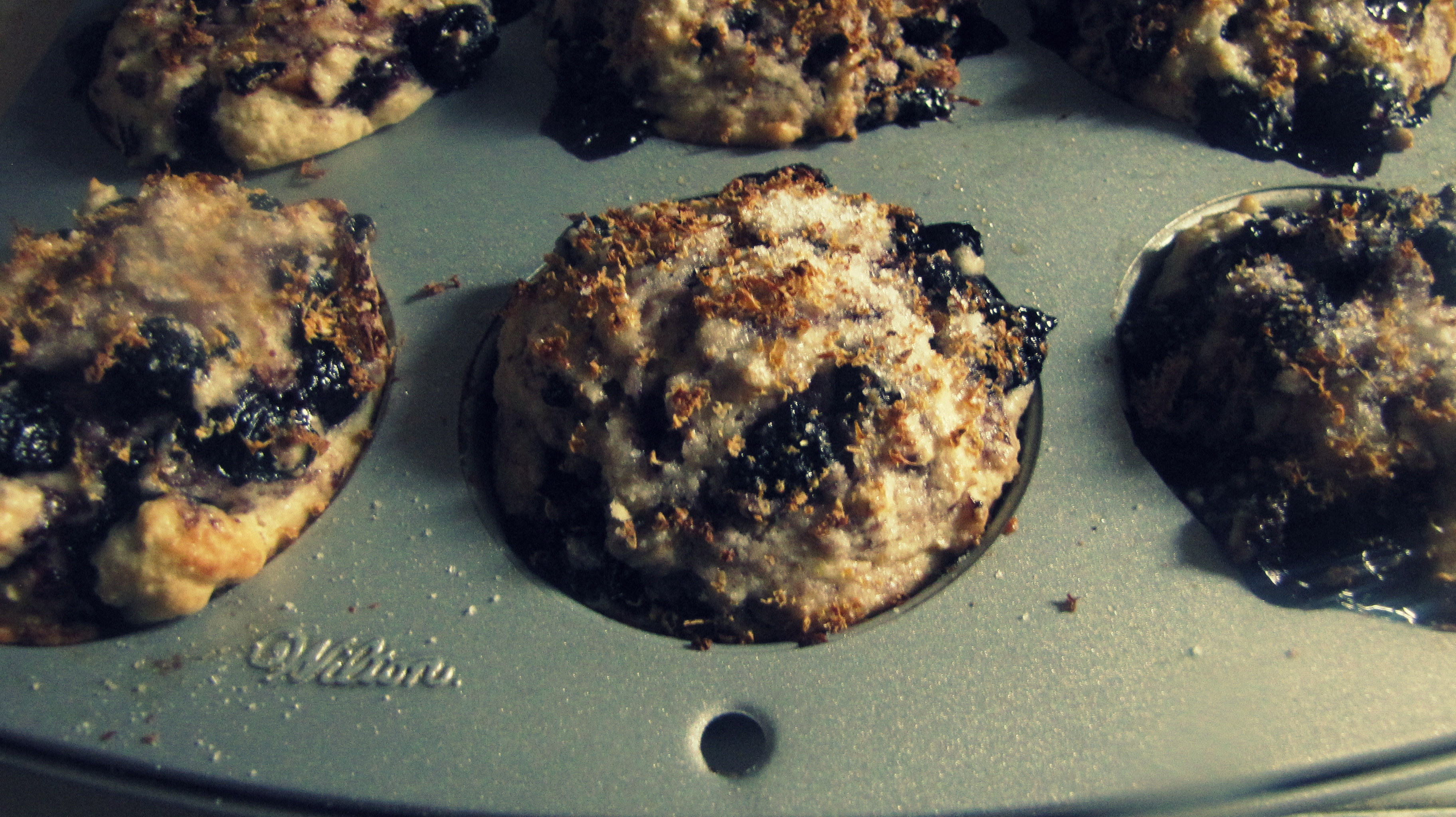 Simple Blueberry Muffins