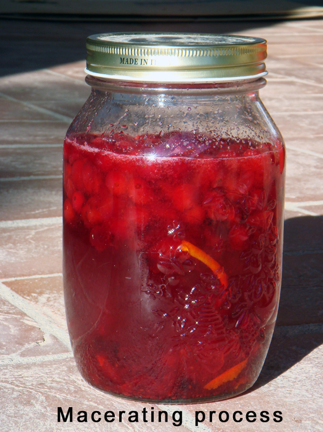 Santa's Cranberry Vodka