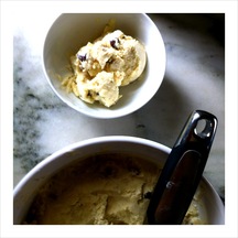 Roasted Banana Chocolate Chip Ice Cream