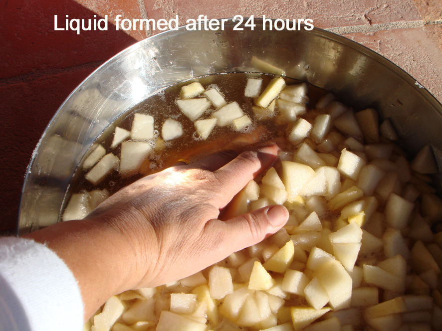 Mostarda Mantovana Fruit and Mustard Sauce from Mantova recipe on