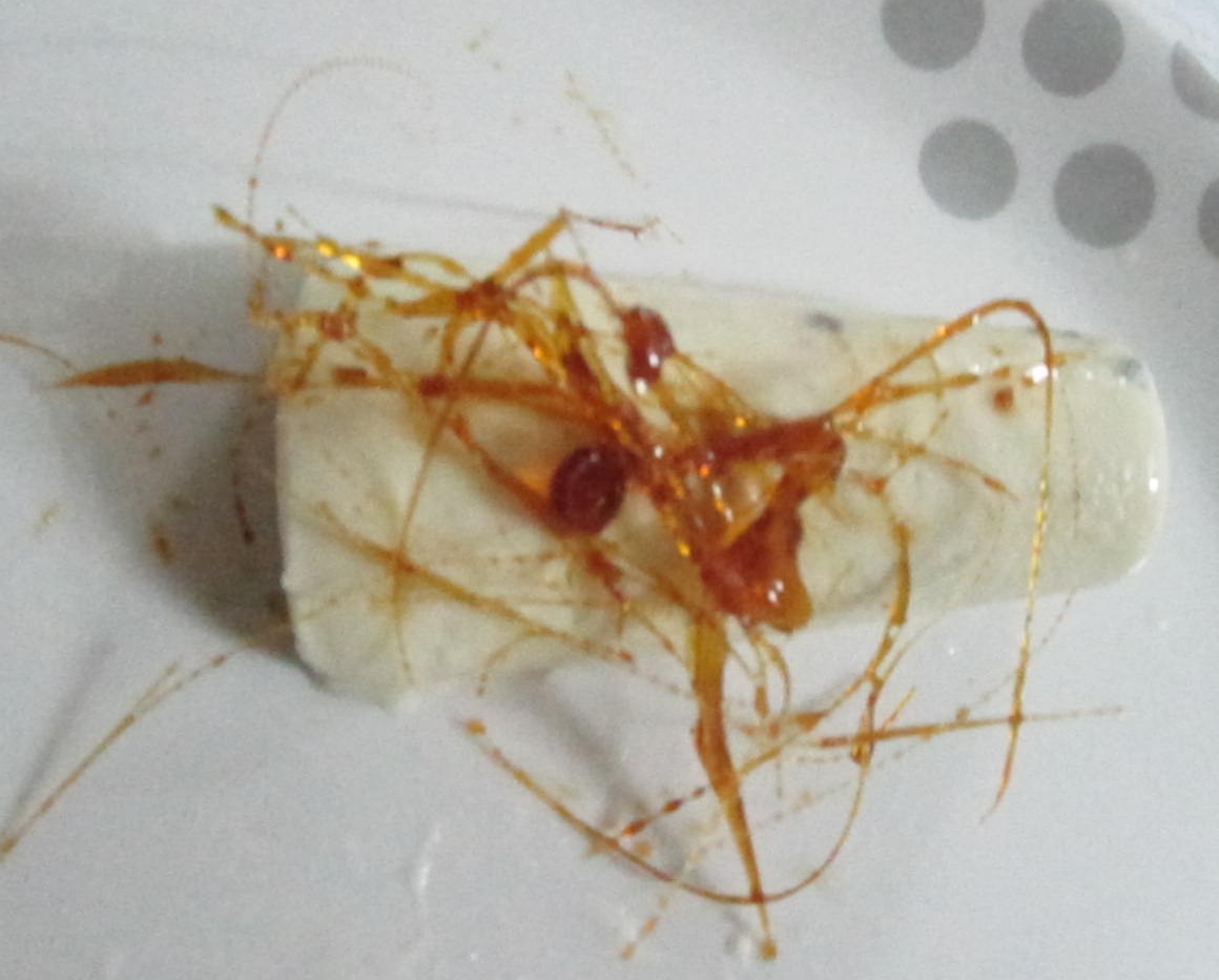 Mom's Recipe Creamy Kulfi