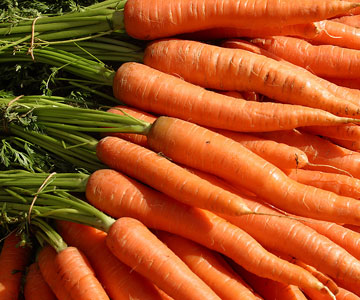 Magic Soup (creamy curried carrot)