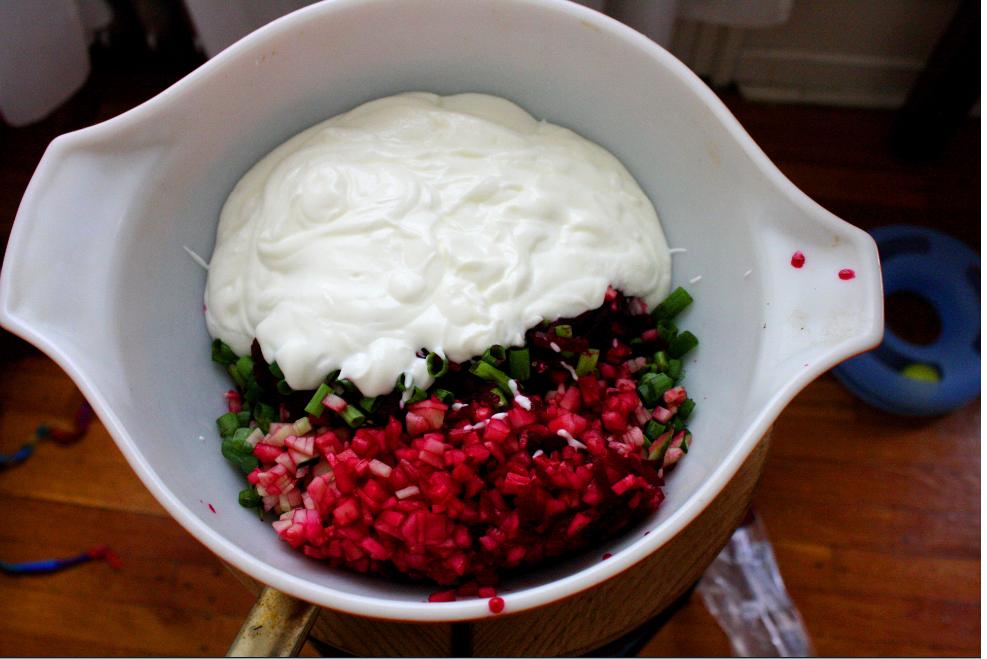 Lithuanian Summer Borscht