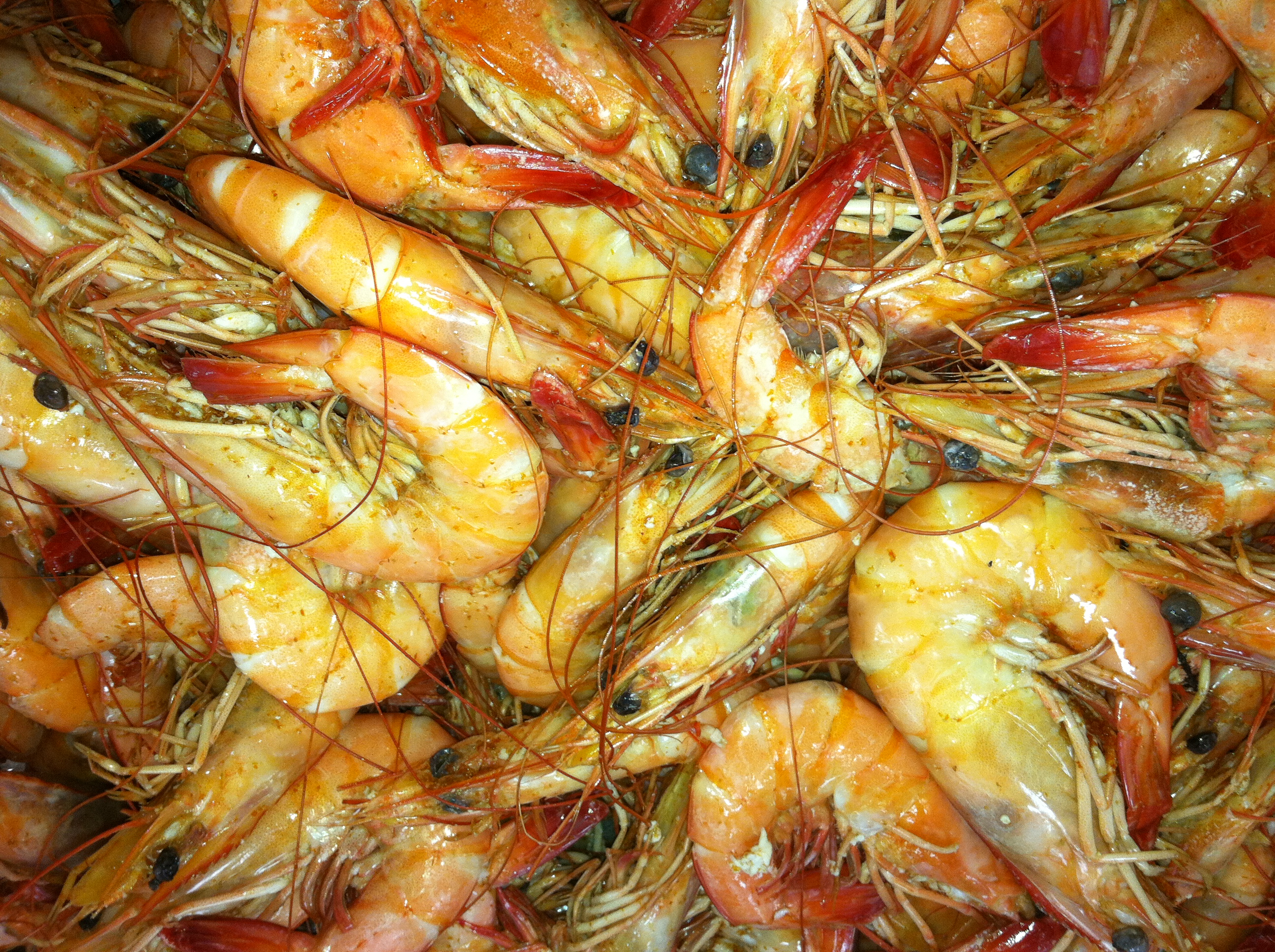 Beer Boiled Shrimp