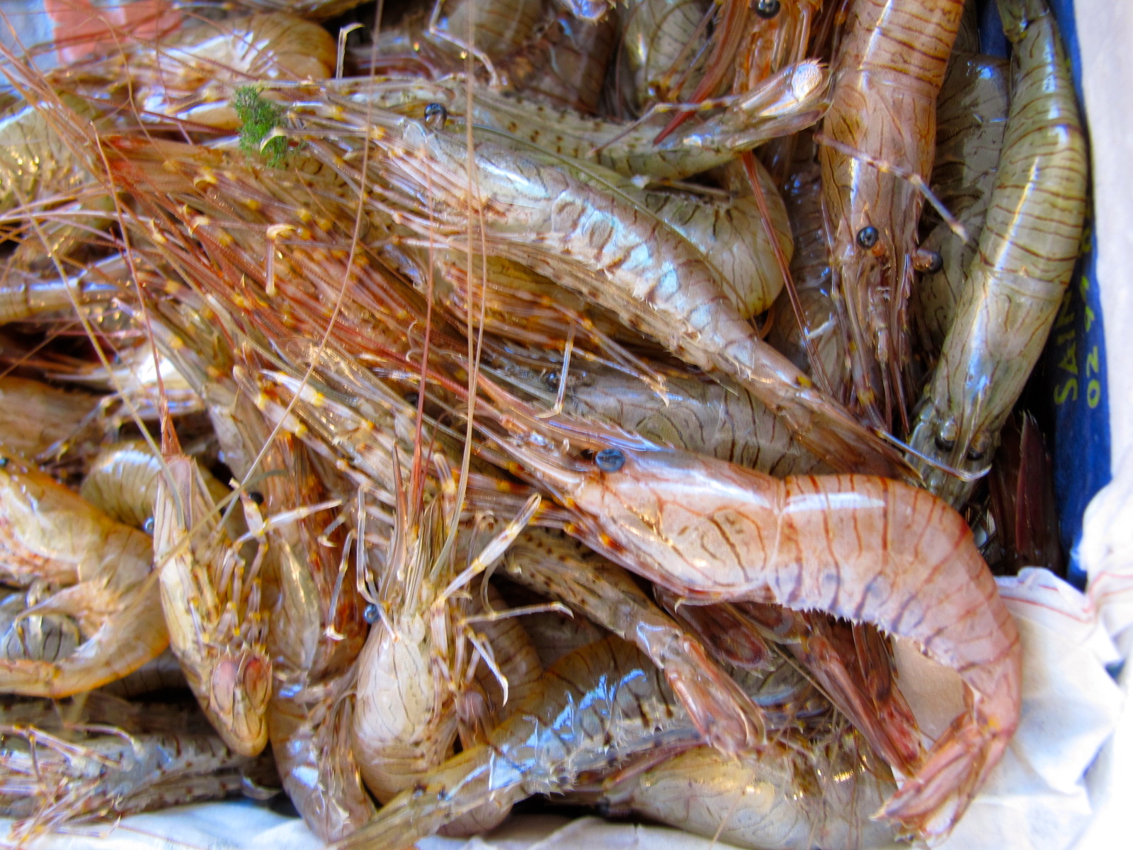 Barbecue Shrimp: A Down-Home, Messy, Good Meal