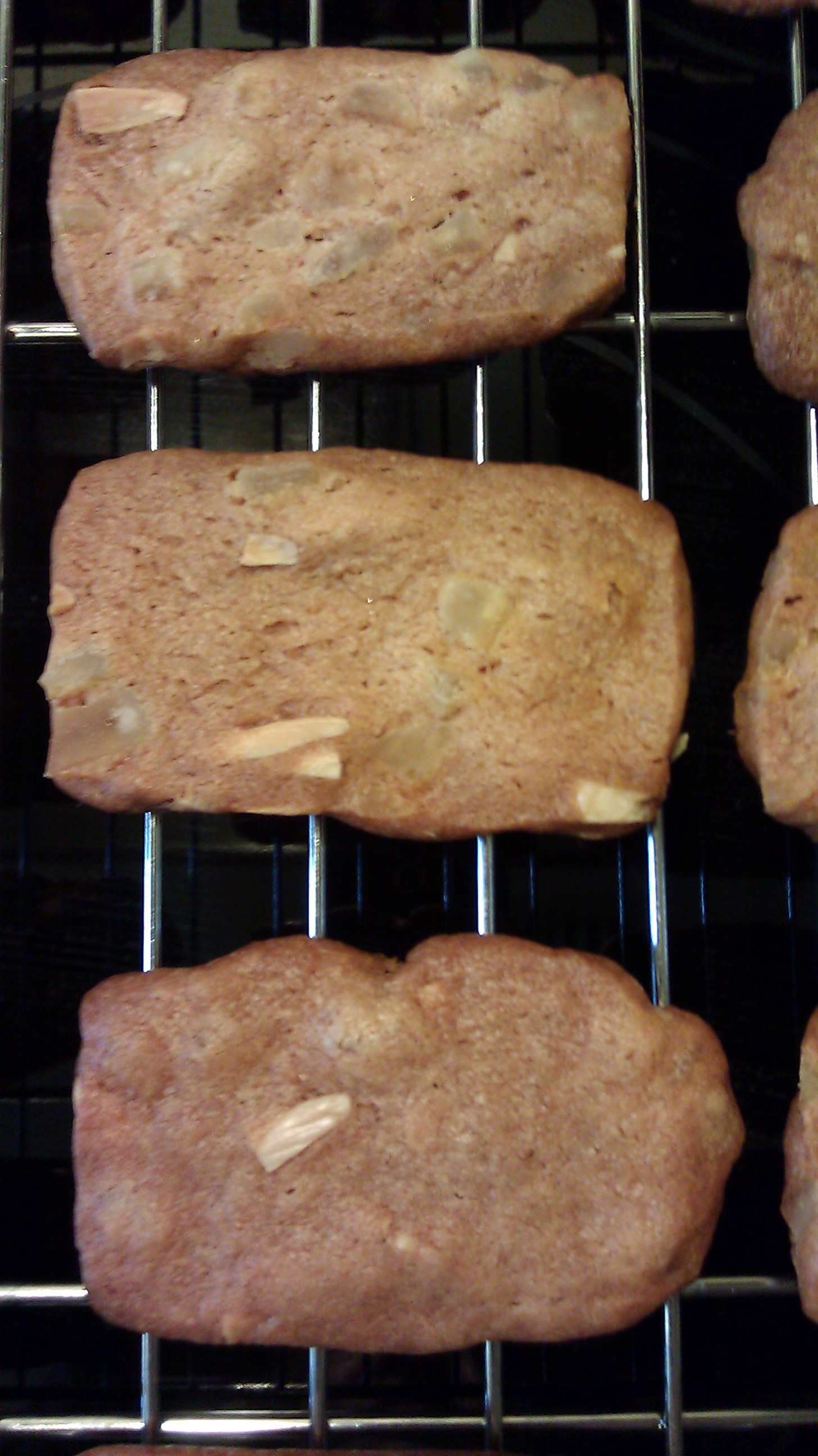 Dry Bones Cookies Southern Style