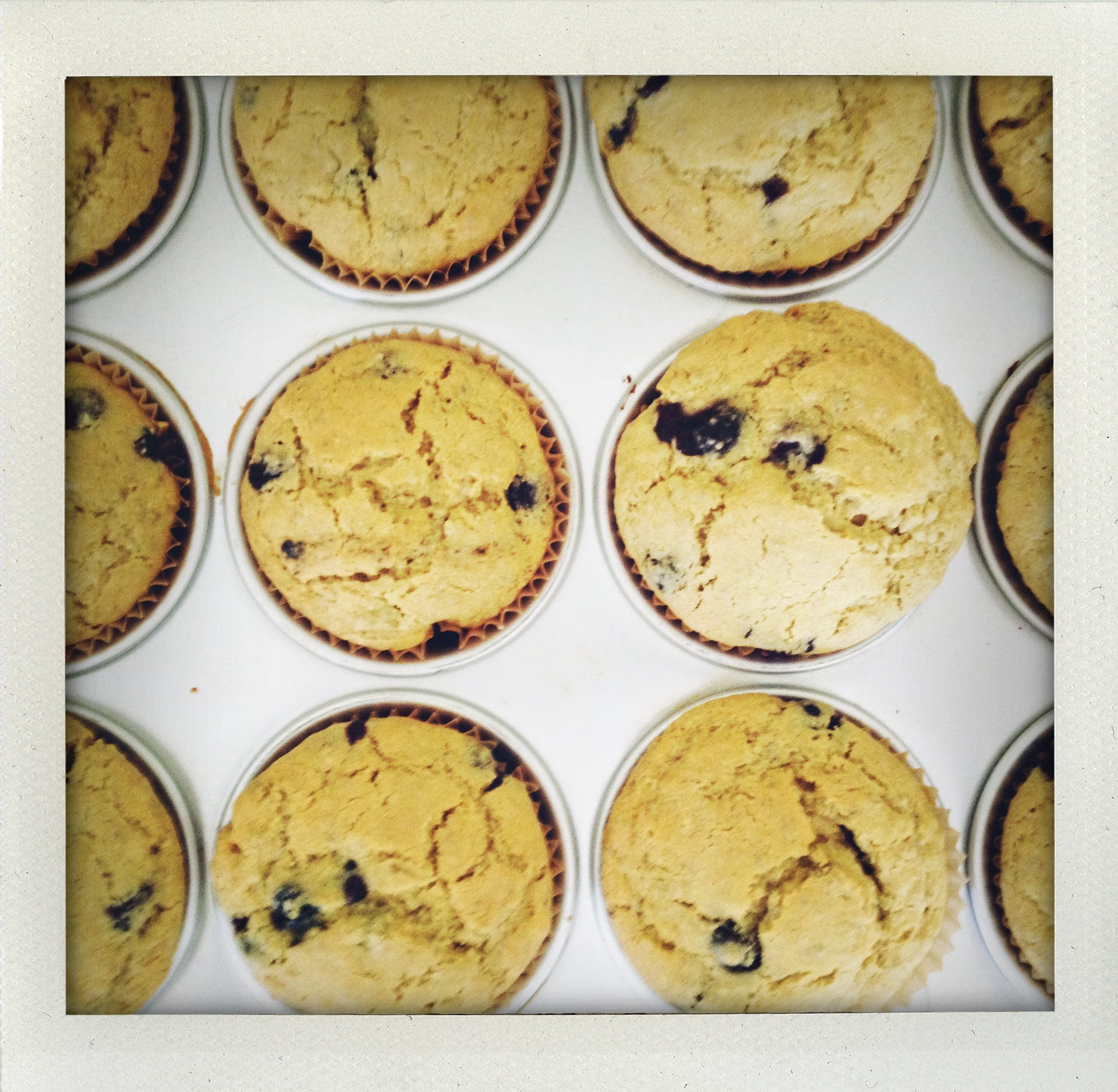 Chia & Blueberry Muffins
