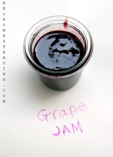 Black Grape Jam, Ethereal with Body and Style like No other... Jam that is. 