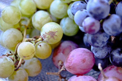 Cran-Grapple Compote
