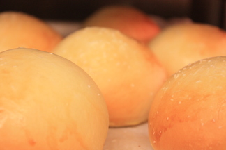 Honey Brioche