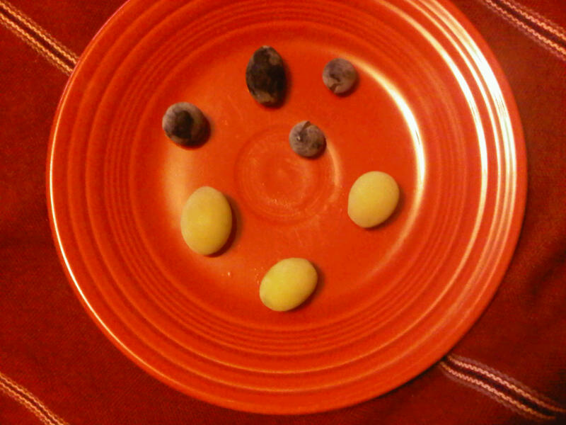 Grape Bubbles