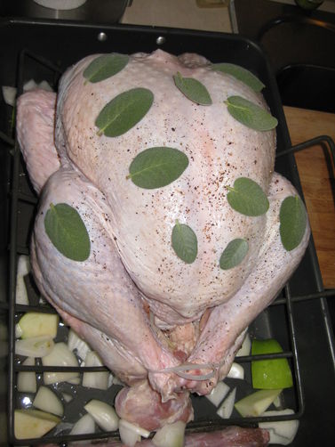 Bacon Bird with Turkey Neck Gravy