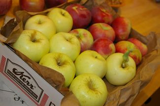 Imgp4544_apples