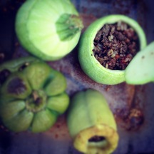 Green peppers and summer squash stuffed with ground beef, rice and spices