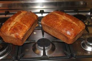 Honey Whole Wheat Bread