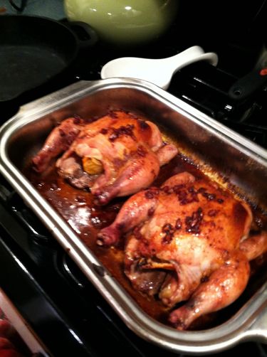 Cornish Game Hen