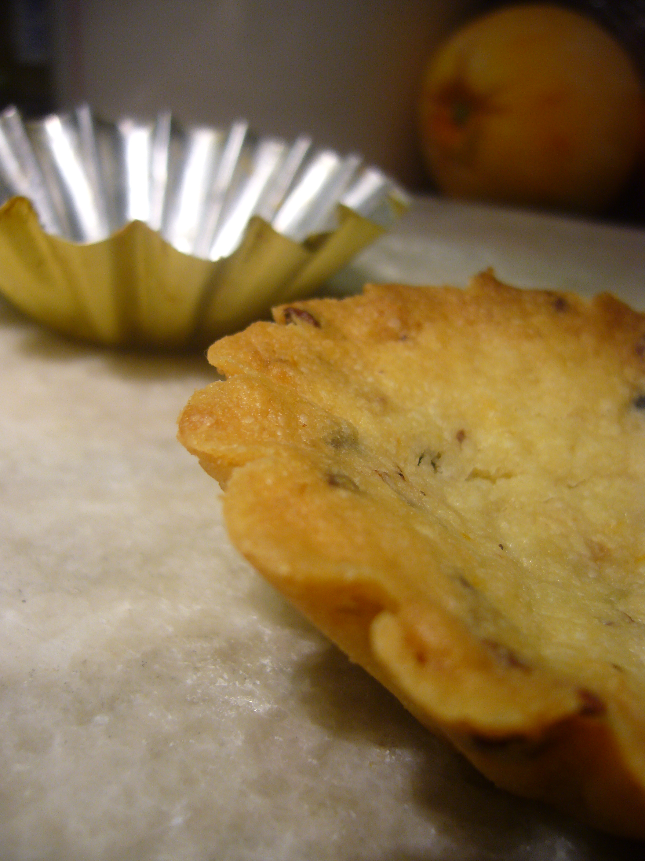 Nibby Coconut-Orange Apricot Cookies
