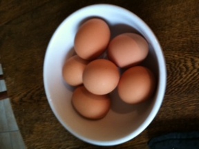 Photo(2)